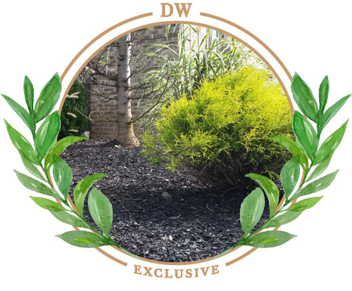 black_mulch_paramus_nj_landscapes_garden_center
