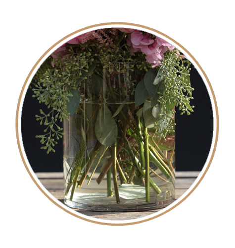cutflowers_preservative_image_2_paramus_nj_landscapes_garden_center