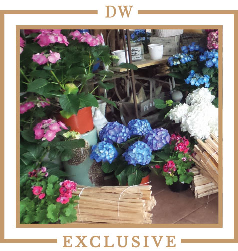 garden_basket_image_1_paramus_nj_landscapes_garden_center