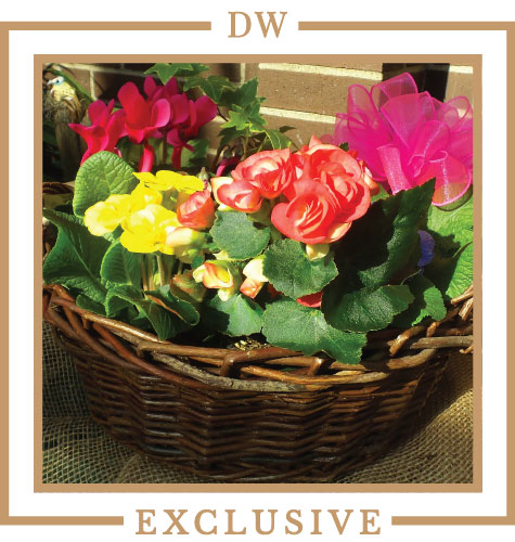 garden_basket_image_2_paramus_nj_landscapes_garden_center
