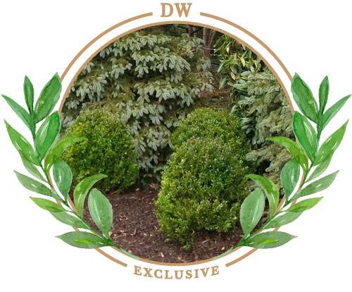 natural_mulch_paramus_nj_landscapes_garden_center