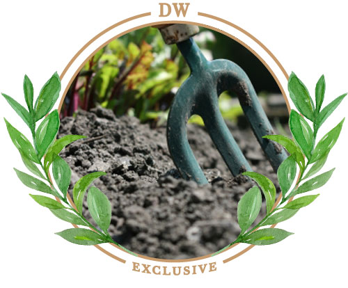 organic_soil_paramus_nj_landscapes_garden_center