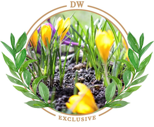 ultra_garden_blend_paramus_nj_landscapes_garden_center