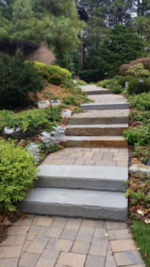 steps1
